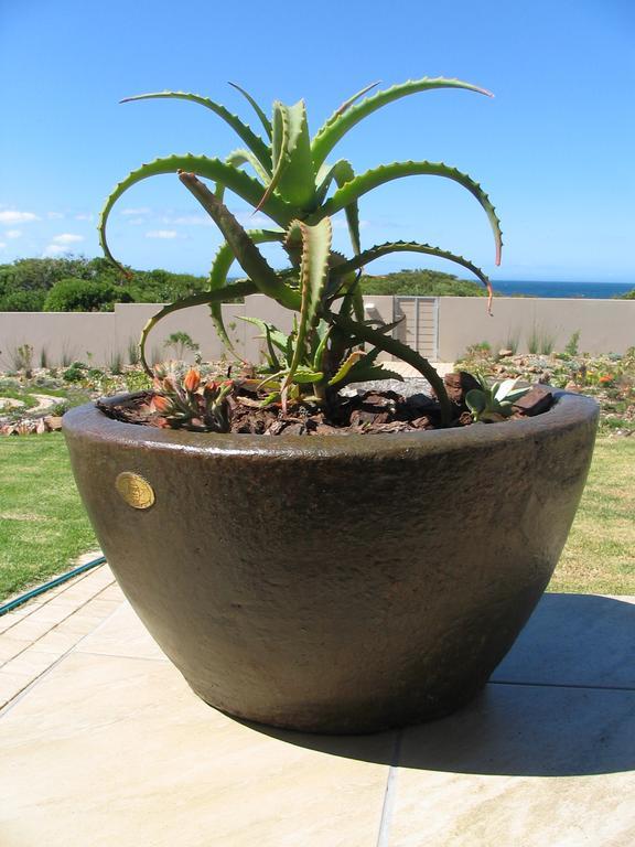 Villa Bella Vista Onrus Hermanus Esterno foto